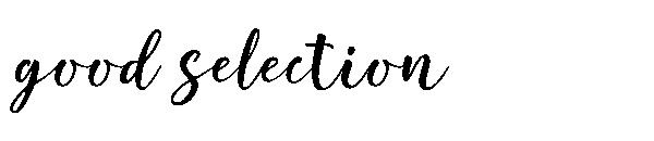 good selection字体