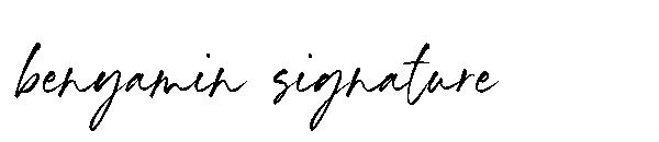 benyamin signature字体