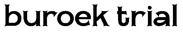 Buroek trial字体
