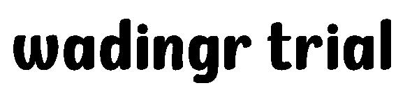 Wadingr trial字体