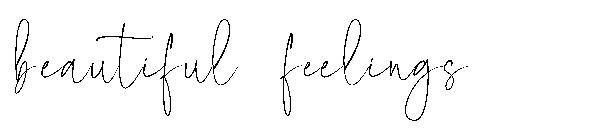 beautiful feelings字体