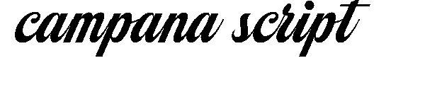 campana script字体