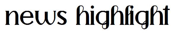 news highlight字体