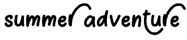 summer adventure字体
