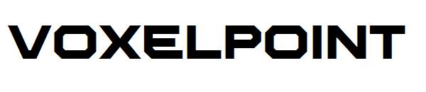voxelpoint
