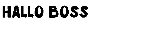 hallo boss