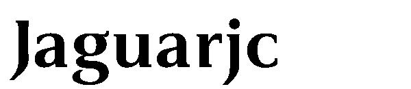 Jaguarjc字体