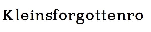 Kleinsforgottenro字体