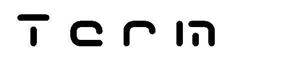 Term字体