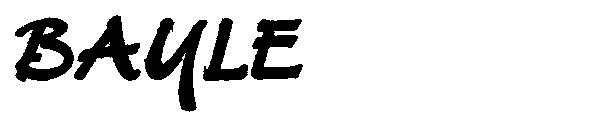 BAYLE字体