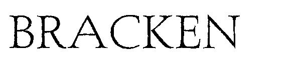 BRACKEN字体下载