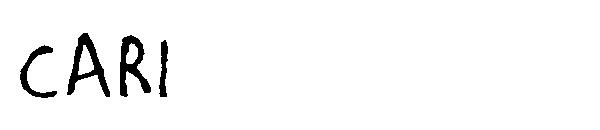 CARI字体