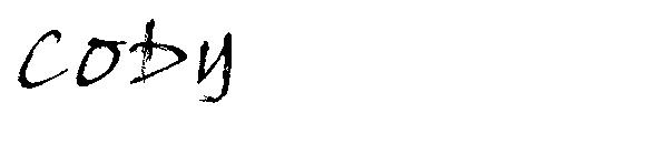 CODY字体