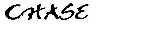 CHASE字体