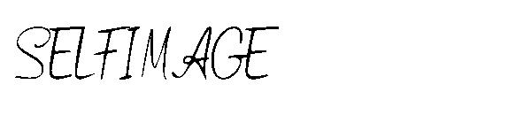 SELFIMAGE字体