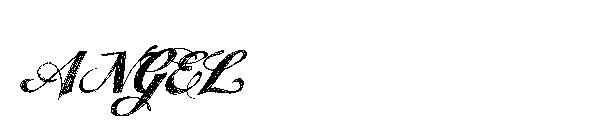 ANGEL字体