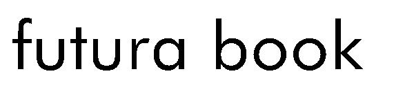 futura book字体