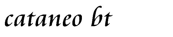 cataneo bt字体