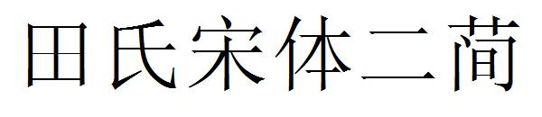 田氏宋体二简字体