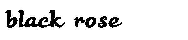 black rose字体下载