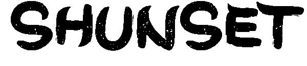 ShunSet字体