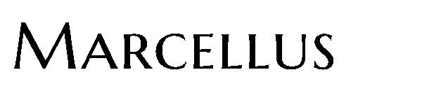 Marcellus字体
