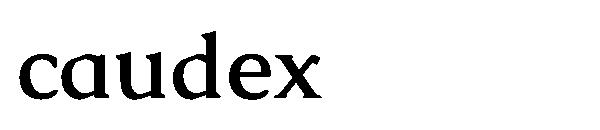 caudex字体