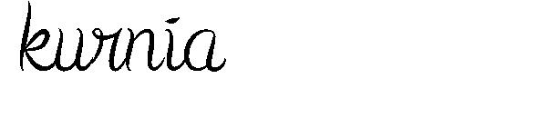 kurnia字体