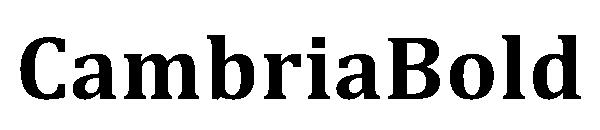 CambriaBold字体