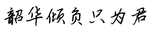 韶华倾负只为君字体