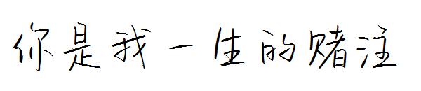你是我一生的赌注字体