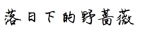 落日下的野蔷薇字体