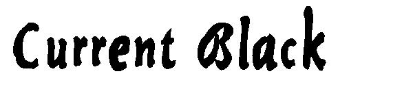 Current Black字体