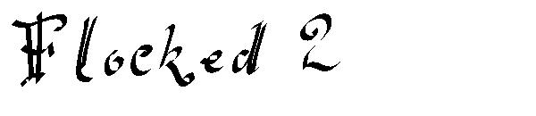 Flocked 2字体