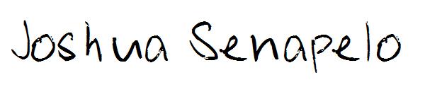 Joshua Senapelo字体