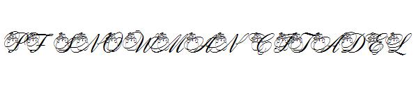 PF Snowman Citadel字体
