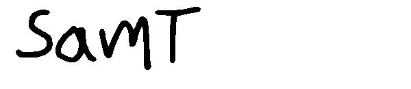 SamT字体
