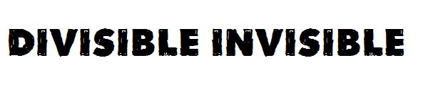 Divisible Invisible字体