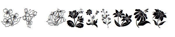 DT Flowers字体