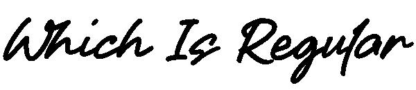 Which Is Regular字体