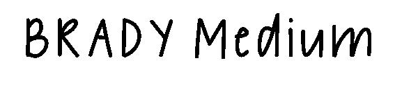 BRADY Medium字体