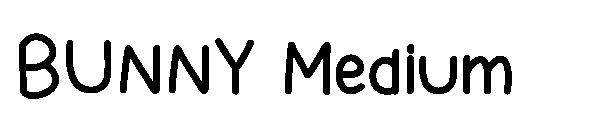 BUNNY Medium字体