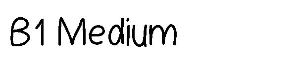 B1 Medium字体