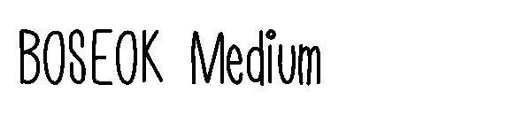 BOSEOK Medium字体