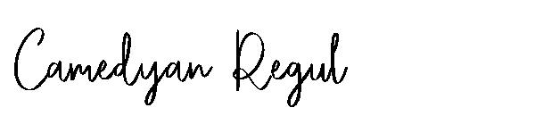 Camedyan Regular字体