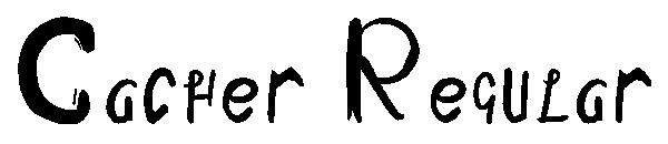 Cacher Regular字体