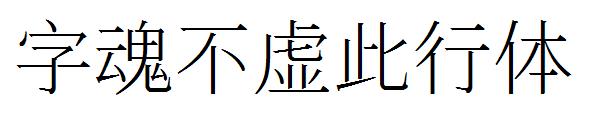 字魂不虚此行体